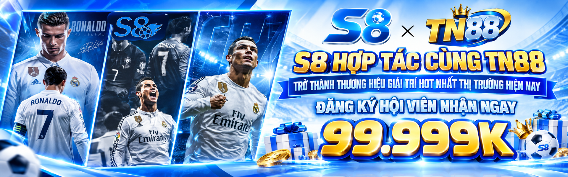 Banner TN88